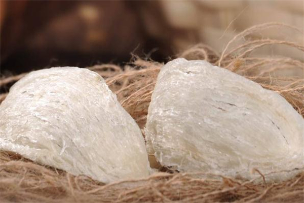 一盏燕窝多少克能吃多少次,一般一盏燕窝几克