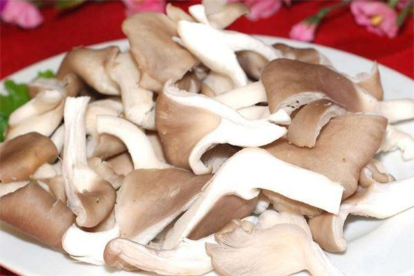 平菇变绿了可不可以吃,平菇发绿还能吃吗