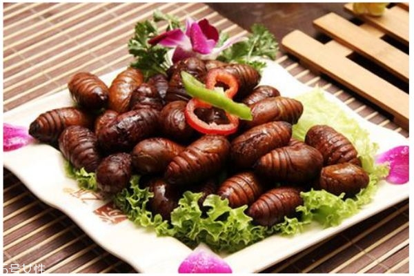 蚕蛹的功效是什么,蚕蛹的功效和作用吃法