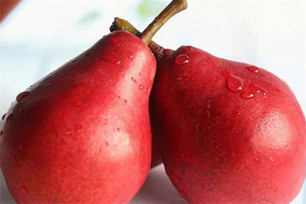 红啤梨怎么才算软熟了,啤梨放多久才软 红啤梨怎么才算软熟了,啤梨放多久才软