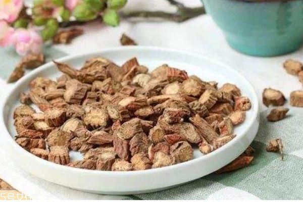 丹参是什么参,什么叫丹参