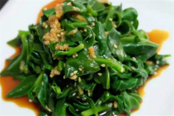 穿心莲怎么吃做法大全,穿心莲如何吃