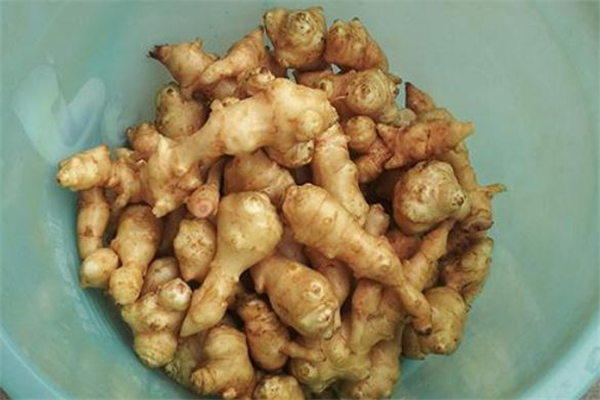 洋姜为什么腌制出来发黑,洋姜发黑了还能腌不