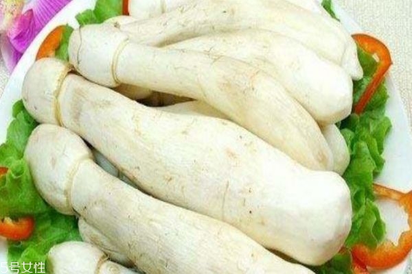 什么是鸡腿菇,什么是鸡腿菇图片