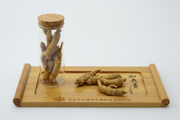 西洋参可以提高记忆力吗,西洋参泡水喝能增强免疫力吗