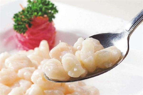 鲜贝不能和什么东西一起吃,贝类不能和什么同吃