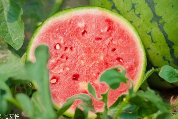 西瓜空心能吃吗?什么原因,西瓜空心能吃吗? 西瓜空心能吃吗?什么原因,西瓜空心能吃吗?