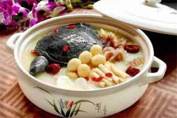 隔夜的甲鱼汤还能喝吗,甲鱼汤隔天可以喝吗 隔夜的甲鱼汤还能喝吗,甲鱼汤隔天可以喝吗