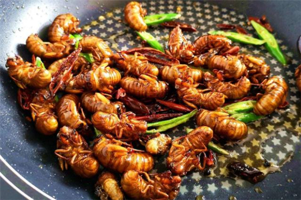 知了猴放在冰箱里冷冻能放多久,知了猴放冰箱一年还能吃吗