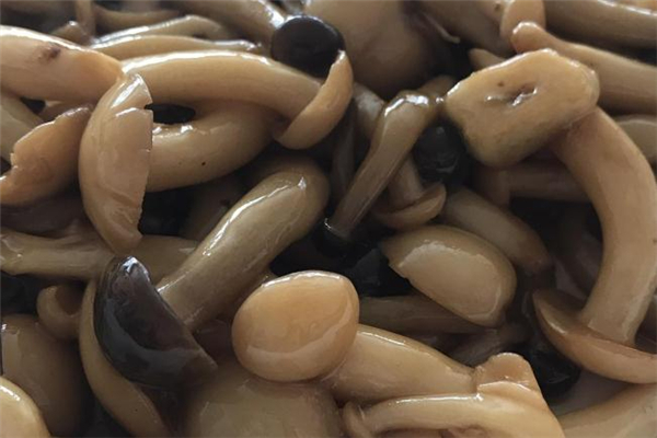 蟹味菇长了白毛还能吃吗,蟹味菇长白色的毛还能吃吗