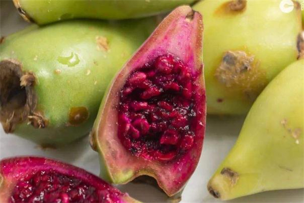 什么样的仙人掌果不能吃,什么仙人掌果不可以吃