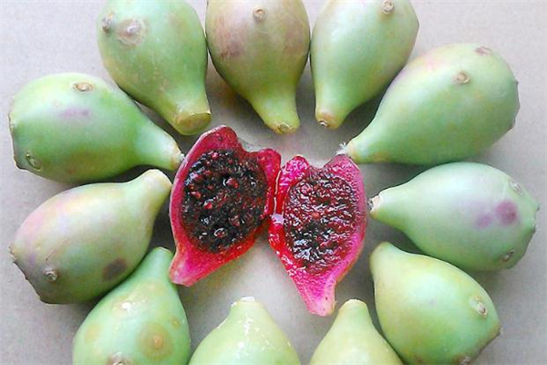 仙人掌果泡酒有何功效,仙人掌果泡白酒功效