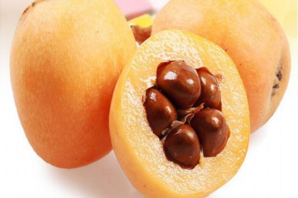 枇杷煮水要不要去核,枇杷核的食用方法