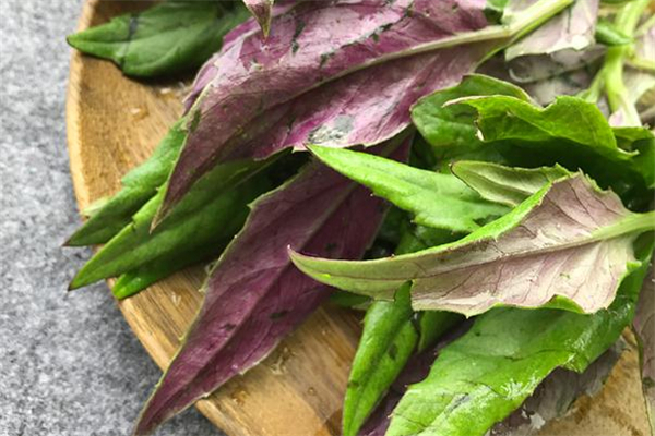 红凤鸡多少钱一斤,黑凤鸡市场价格多少钱一斤