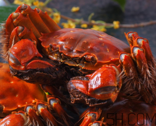 mac十大经典口红色号,mac口红的经典色号