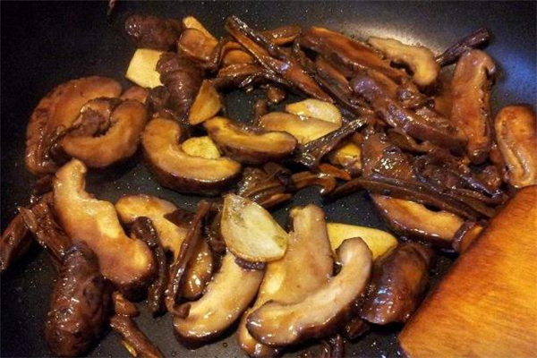 牛肝菌能人工种植吗,人工牛肝菌种植技术