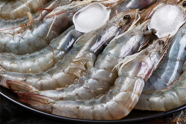白虾是什么虾?,白对虾吃什么