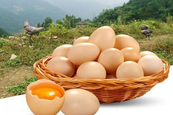 土鸡蛋真的更有营养吗?别再被忽悠了,土鸡蛋真的更有营养吗 知乎 土鸡蛋真的更有营养吗?别再被忽悠了,土鸡蛋真的更有营养吗 知乎
