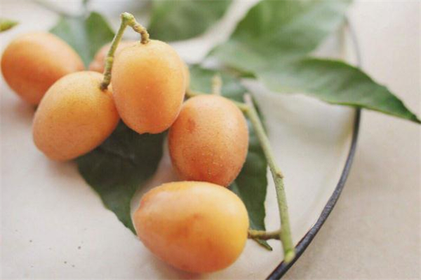 哺乳期可以吃黄皮果吗?,哺乳期可以吃黄皮果吗会回奶吗