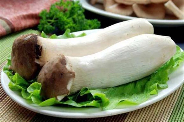 杏鲍菇变黄了还能吃吗?,杏鲍菇发黄了还能吃吗