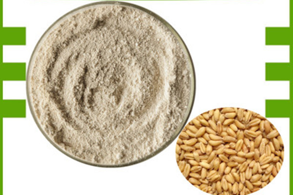 膳食纤维粉什么时间食用最佳,膳食纤维粉的正确吃法