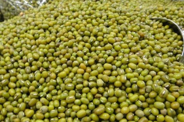 绿豆和海鲜可以一起吃吗?,绿豆跟海鲜能一起吃吗