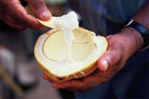 什么人不能吃椰子肉,经常吃椰子肉好吗