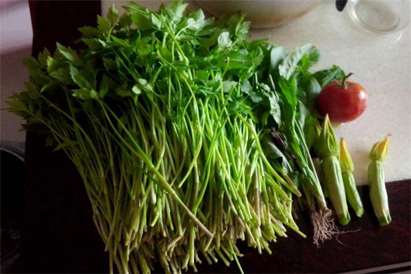 水芹菜是什么季节的菜,芹菜是哪个季节的