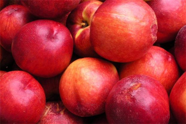 桃子发苦是怎么回事,桃子苦是什么原因 桃子发苦是怎么回事,桃子苦是什么原因