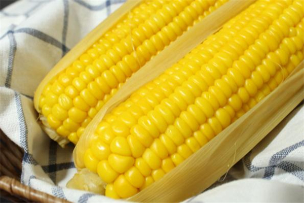白玉米和黄玉米哪个减肥效果好,什么样的玉米减肥最好 白玉米和黄玉米哪个减肥效果好,什么样的玉米减肥最好