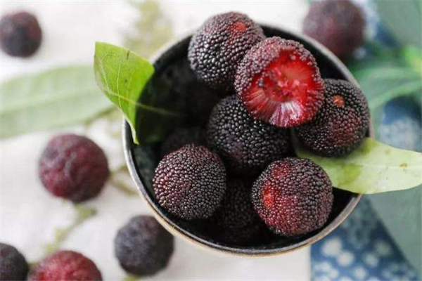 杨梅可以用白醋泡吗,杨梅泡醋的功效和作用