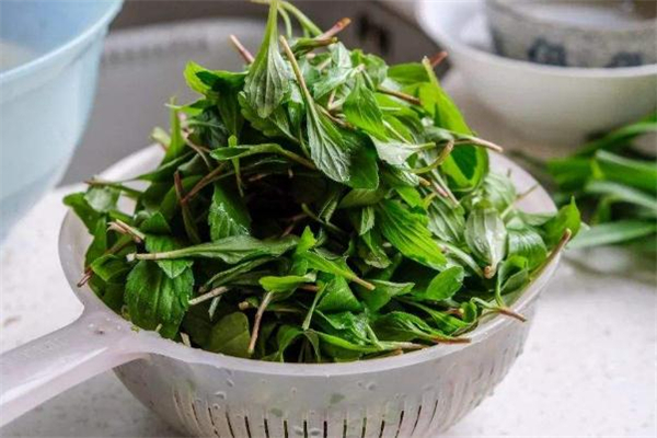 马兰头有毒副作用吗,马兰头能吃吗