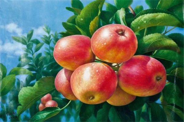 吃一天苹果能瘦多少斤,一天光吃苹果能瘦几斤