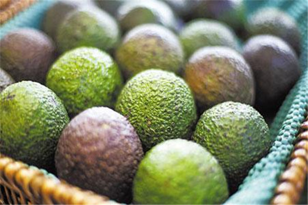 牛油果可以蒸熟了吃吗,牛油果生的可以蒸熟吗