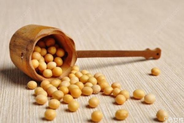 干豆和湿豆打豆浆的区别,干豆还是湿豆打豆浆好 干豆和湿豆打豆浆的区别,干豆还是湿豆打豆浆好