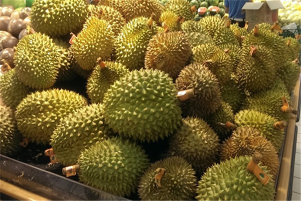 榴莲是发物的水果吗,榴莲是不是热性的水果 榴莲是发物的水果吗,榴莲是不是热性的水果