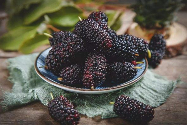 坐月子可以吃桑葚吗,喂母乳,坐月子可以吃桑葚吗 坐月子可以吃桑葚吗,喂母乳,坐月子可以吃桑葚吗