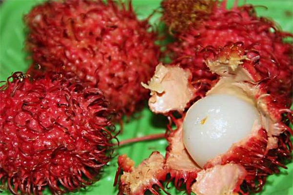 吃红毛丹能喝酒吗,什么人不能吃红毛丹