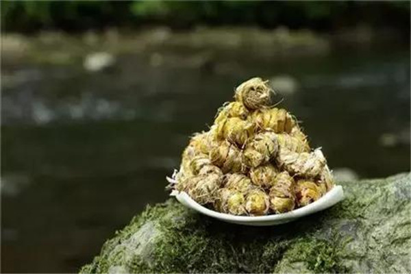 铁皮石斛可以保存多久,新鲜铁皮石斛能放多久