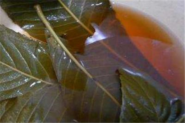 枇杷叶有毒么,枇杷叶有毒性吗 枇杷叶有毒么,枇杷叶有毒性吗