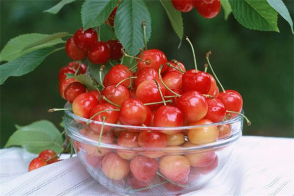 樱桃放冰箱能放几天,樱桃可以存放多久