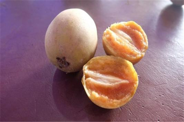 人心果能不能吃,人心果的功效和作用怎么吃 人心果能不能吃,人心果的功效和作用怎么吃