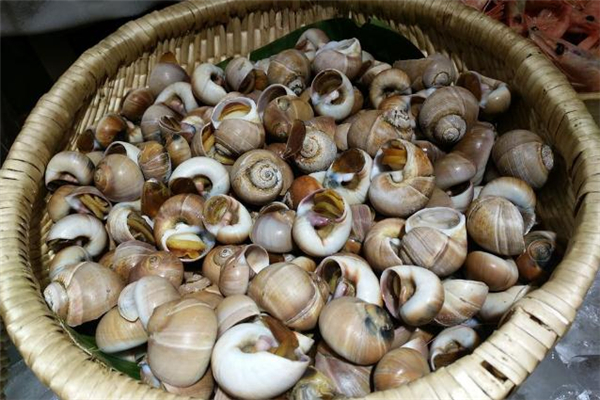 过敏体质可以打新冠疫苗吗(打完防疫针过敏的症状) 过敏体质可以打新冠疫苗吗(打完防疫针过敏的症状)