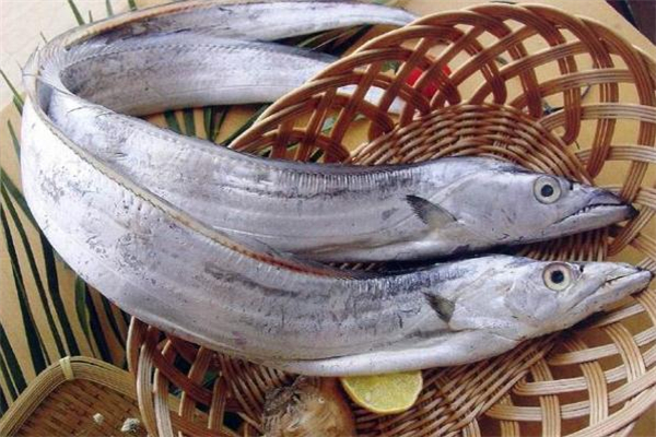 带鱼不适合什么人吃,带鱼什么样的人不能吃