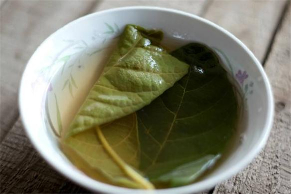 枇杷叶煮水用老叶还是新叶好,枇杷叶子煮水是新叶还是老叶子