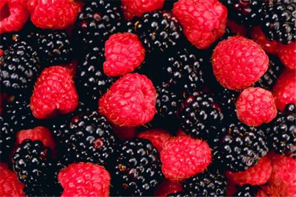 桑葚吃多了有什么坏处,桑葚能吃多吗