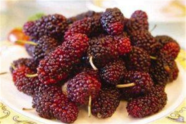 桑葚应该怎么吃,桑葚的吃法桑葚怎么吃 桑葚应该怎么吃,桑葚的吃法桑葚怎么吃