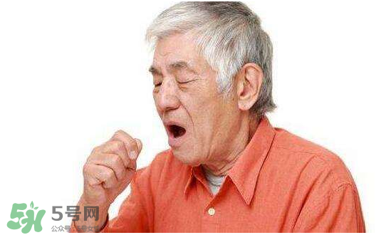 治咳嗽的药膳有哪些地方,止咳的药膳