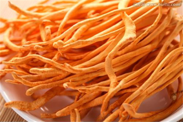 虫草花可以和胡萝卜一起炖吗,虫草花可以和萝卜一起炖吗? 虫草花可以和胡萝卜一起炖吗,虫草花可以和萝卜一起炖吗?