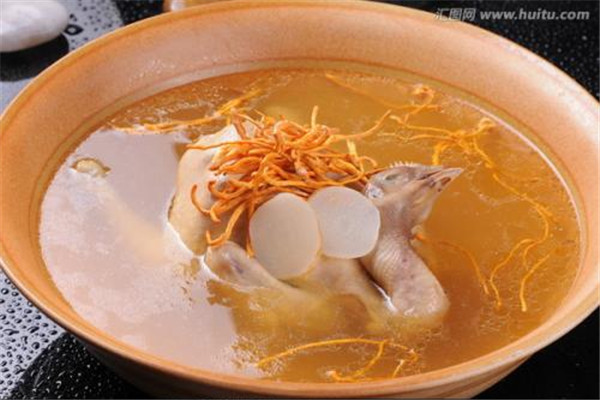 菌类虫草花的功效,虫草菌和虫草花的区别